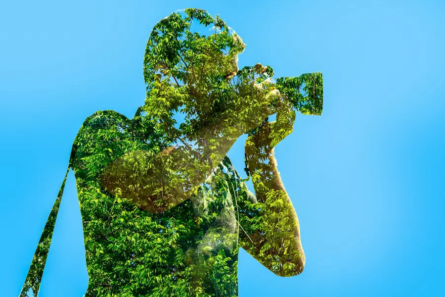 Innovación sostenible Innovación sostenible